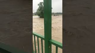 100 jähriges Hochwasser in StPölten Süd  Spratzern lage 927 [upl. by Vod]