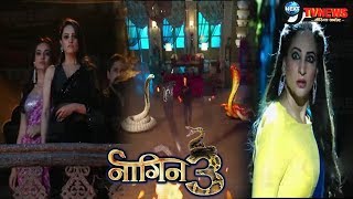 NAAGIN 32nd FEBRUARY 2019  Colors TV Serial  70th Episode  Full Story Details REVEALED [upl. by Esenahs]