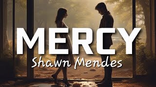 Shawn Mendes  Mercy [upl. by Latt897]