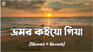 Bhromor Koio Giya SlowedReverb  Armeen Musa  Radharaman Dutta  ভ্রমর ক‌ইয়ো গিয়া [upl. by Renferd]