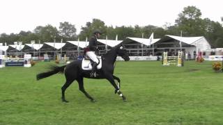 winner boekelo 2011 [upl. by Agueda]