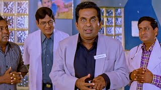 Brahmanandam Super Comedy Scenes  Preyasi Raave Movie  Funtastic Comedy [upl. by Euqilegna]