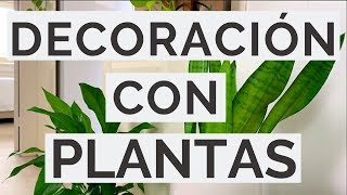 Cómo Decorar Con PLANTAS DE INTERIOR  Minimalismo [upl. by Bergmann]