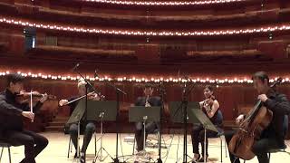 Weber Clarinet Quintet First Mvt [upl. by Esele]