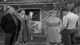 Mister Ed Season 1 Episode 9 1961 The Aunt [upl. by Scarlett142]