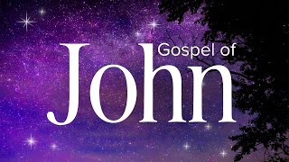 Gospel of John  Abide Audio Bible Holy Bible Audio [upl. by Haugen]