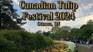 Canadian Tulip Festival 2024 from Ottawa Ontario [upl. by Eiltan]