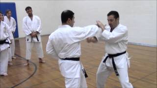 How To Shotokan Elements of Tekki Sandan [upl. by Cooperstein]