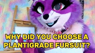 why choose a plantigrade fursuit over a digitigrade [upl. by Orecul]