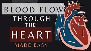 Blood Flow Through the Heart in 1 Minute Animation  Cardiac Physiology bloodflow shorts [upl. by Bluh]