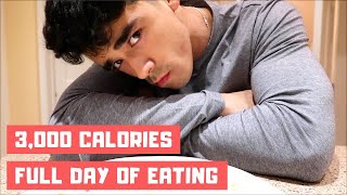 Full Day Of Eating  Student Bulking Diet 3000 Calories [upl. by Fortna875]