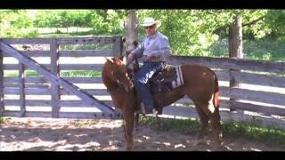 Colt Starting Video 25 First Ride Part 1 [upl. by Karame]