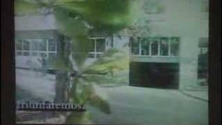 himno Universidad del Quindio [upl. by Kreindler]