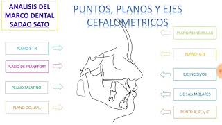 Analisis cefalometrico del marco dental sadao sato MEAW 1 [upl. by Enohpets]