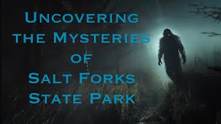 Uncovering the Mysteries of Salt Fork State Park [upl. by Dhar]