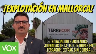 ¡Inhumano Jornadas Extenuantes de 17 Horas en la Empresa de Toni Gili 1 [upl. by Cronin988]