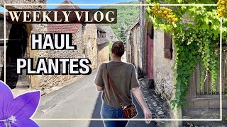 Vlog n°15 I Balade Dominicale HAUL PLANTES et REMPOTAGE [upl. by Dimitri]