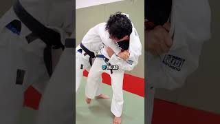 Judo Throw Systems Osoto gari Ouchi gari Uchimata from RvR [upl. by Tabina]