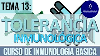 Tolerancia inmunológica  Mecanismos de tolerancia central y periférica [upl. by Eelsha]