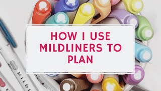 How I Use Zebra Mildliners To Plan [upl. by Gladdie365]