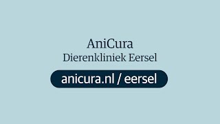 Dierenkliniek Eersel  AniCura [upl. by Anitteb824]