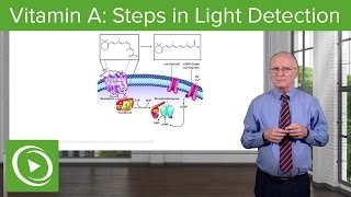 Vitamin A Steps in Light Detection – Biochemistry  Lecturio [upl. by Eivlys]