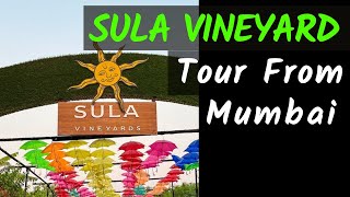 Sula Wines and Soma Vineyard Tour Fest 2024  Mischief Treks [upl. by Ialocin]