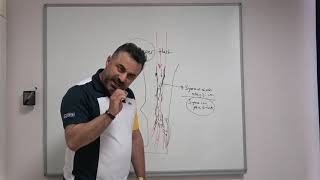 Buerger Hastalığı Thromboangiitis Obliterans Nedir ve Nasıl Tedavi Edilir  Prof Dr Ahmet AKGUL [upl. by Adlesirhc]