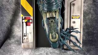 HCG Exclusive Alien Queen Lifesize Wall Sculpture Review PART 1 [upl. by Aivirt]