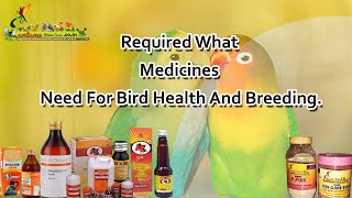 Required What Medicines Need For Bird Health And Breeding [upl. by Dutchman102]