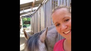 MONIQUE DE RIJK VLOG3 TRAININGSTIP VOOR EEN SOEPEL EN LENIG PAARD [upl. by Siobhan128]