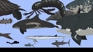 Size Comparison Prehistoric sea monstersAnimated [upl. by Lahcsap280]