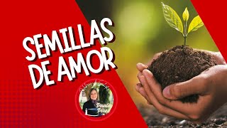 Semillas de amor  Paula Pires [upl. by Alegna]