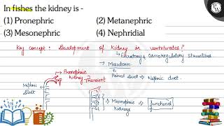 In fishes the kidney is  1 Pronephric 2 Metanephric 3 Mesonephric [upl. by Naryt]