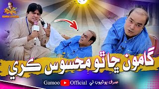 Gamoo Sha Tho Mahesoos Kare  Asif Pahore Gamoo  Sohrab Soomro  Gamoo New Video  2024 [upl. by Suzanna]