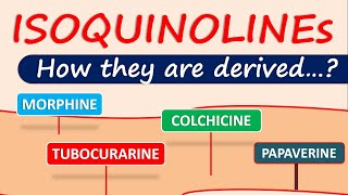 Isoquinoline alkaloids and drugs  How they are derived in plants [upl. by Katushka]