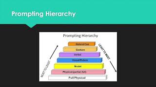 Behavior On Demand  Prompting [upl. by Lawford]