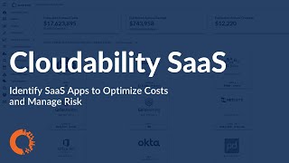 Cloudability SaaS Overview [upl. by Cerell323]