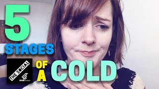 The 5 Stages Of A Cold [upl. by Nnylarac]