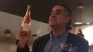 LUIS FERNANDO VALENCIA VINO ROSE D´ANJOU [upl. by Ziom]