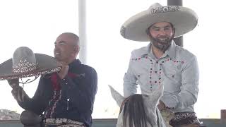 Coleadero en Lienzo Charro Dos Potrillos en Stockton CA [upl. by Icaj]