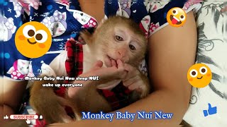 Monkey Baby Nui New sleep NUI wake up everyone [upl. by Cox741]