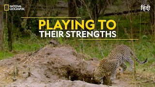 Playing to their Strengths  Africa’s Deadliest  हिन्दी  Full Episode  S3  E3  Nat Geo Wild [upl. by Greene]