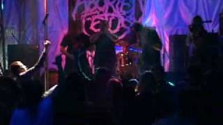 Aborted Fetus  Live  Extremum Festival 210209 [upl. by Ennasil298]