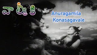 Anuragamila Konasagavale Song from Valmiki Telugu Movie  NTRLeelavathiKantha Rao [upl. by Elyrrad]