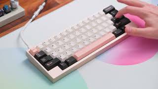 Gateron Hippo Linear Switches Sound Test 🦛 [upl. by Cindie374]