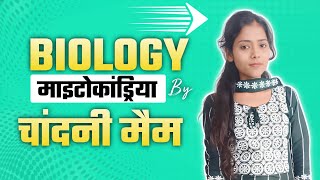 माइटोकांड्रिया क्या है What is Mitochondria class 9th [upl. by Nurav]