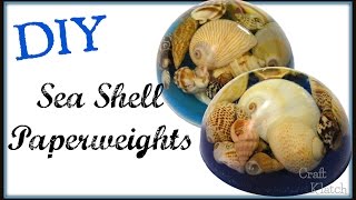 Sea Shell Resin Paperweight  DIY Project  Craft Klatch  Resin Projects  How To [upl. by Mahda145]