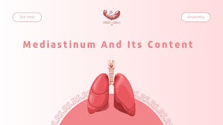 Mediastinum And Its Content  Anatomy [upl. by Jeri]