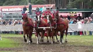 Titanen der Rennbahn 2013 Römerwagenrennen [upl. by Nagram625]